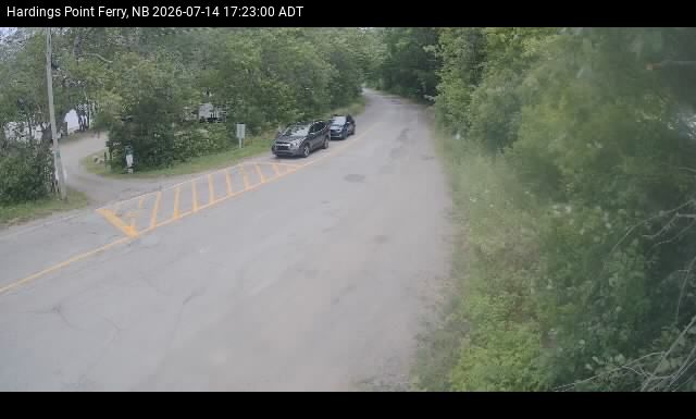 Web Cam image of Hardings Point
