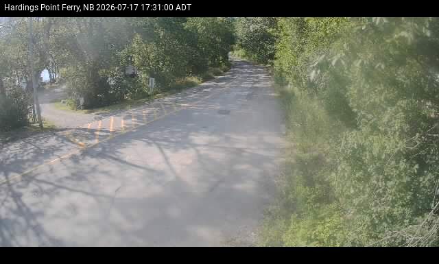 Web Cam image of Hardings Point