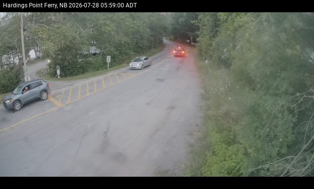 Web Cam image of Hardings Point