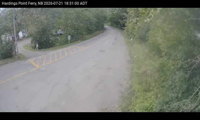Web Cam image of Hardings Point