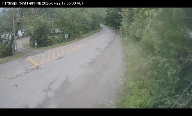 Web Cam image of Hardings Point