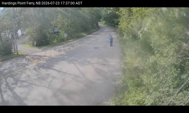 Web Cam image of Hardings Point
