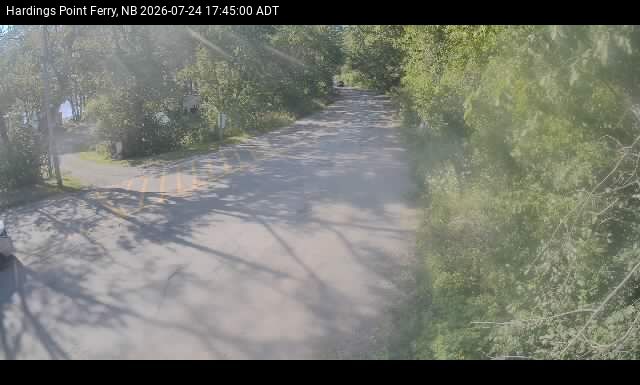 Web Cam image of Hardings Point