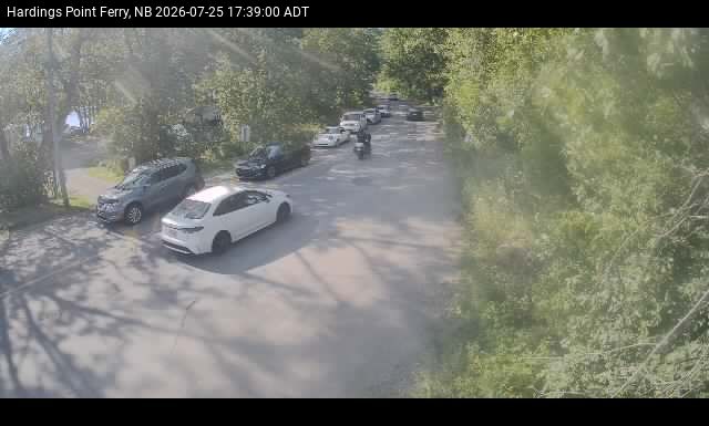 Web Cam image of Hardings Point