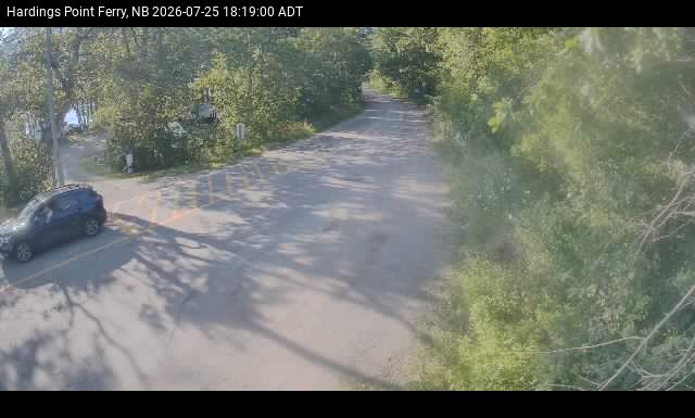 Web Cam image of Hardings Point