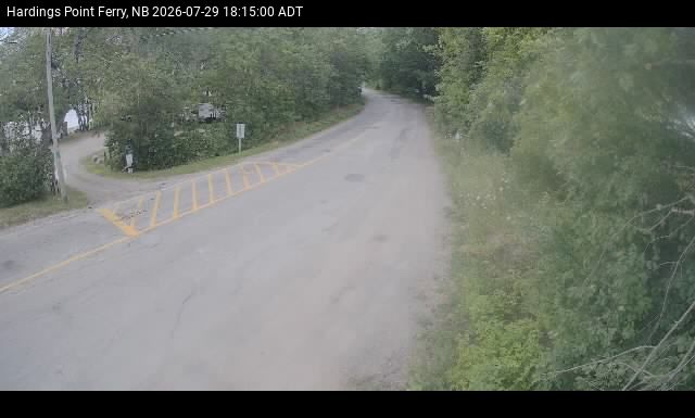 Web Cam image of Hardings Point