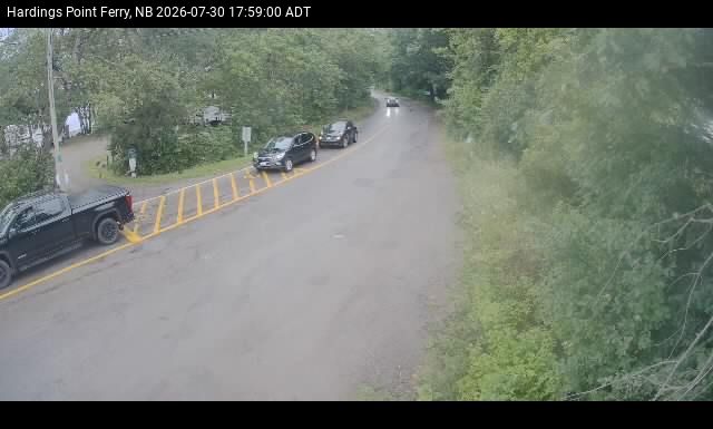 Web Cam image of Hardings Point