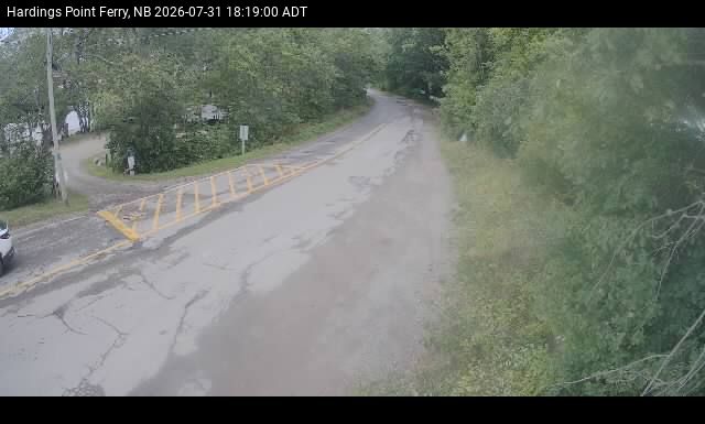 Web Cam image of Hardings Point
