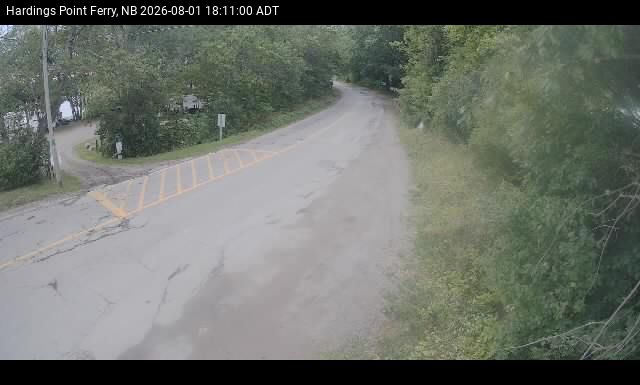 Web Cam image of Hardings Point