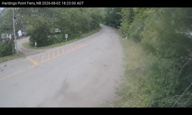 Web Cam image of Hardings Point