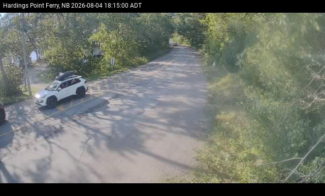 Web Cam image of Hardings Point