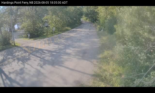 Web Cam image of Hardings Point