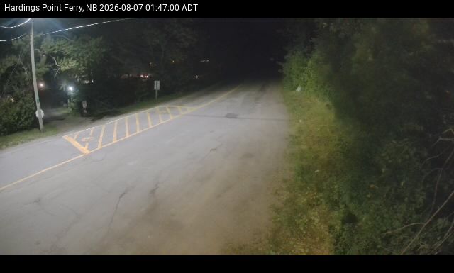Web Cam image of Hardings Point