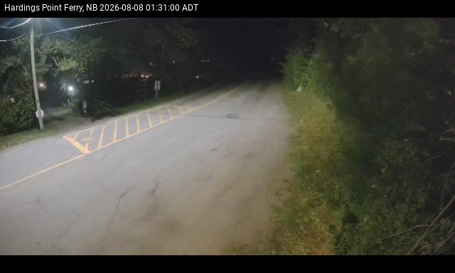 Web Cam image of Hardings Point