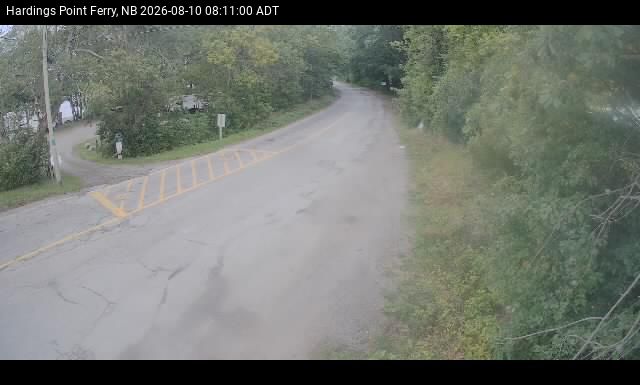 Web Cam image of Hardings Point