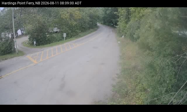 Web Cam image of Hardings Point