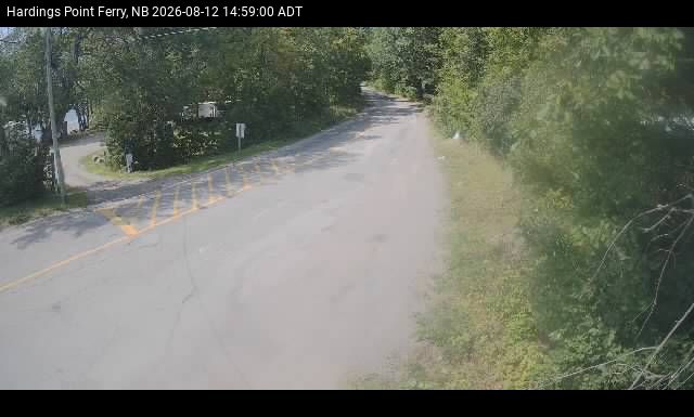 Web Cam image of Hardings Point