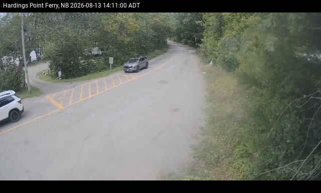 Web Cam image of Hardings Point