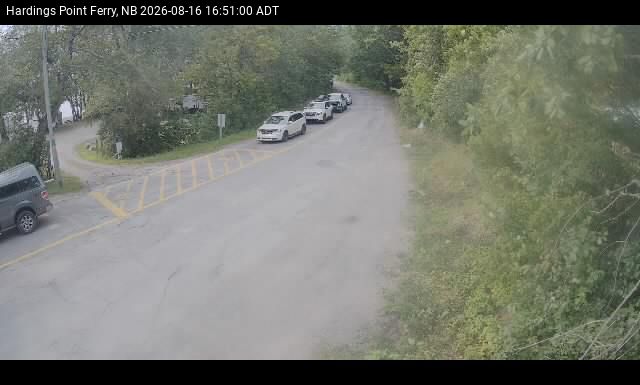 Web Cam image of Hardings Point