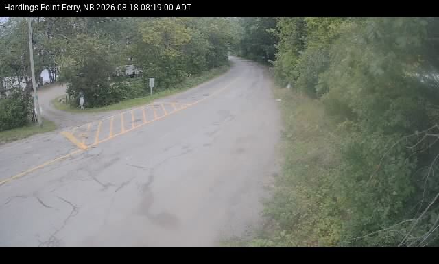 Web Cam image of Hardings Point