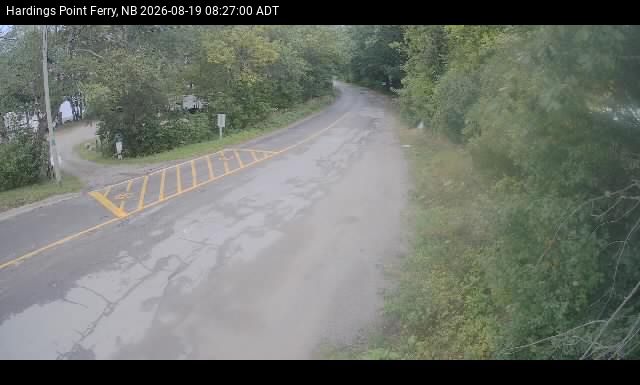 Web Cam image of Hardings Point