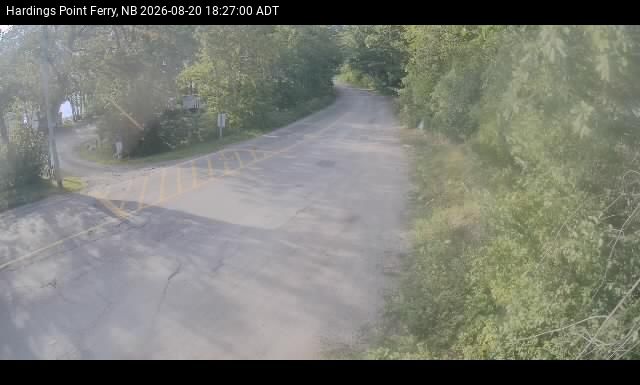 Web Cam image of Hardings Point