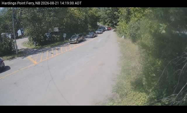 Web Cam image of Hardings Point