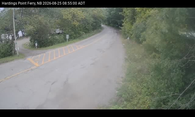 Web Cam image of Hardings Point