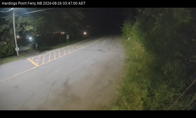 Web Cam image of Hardings Point