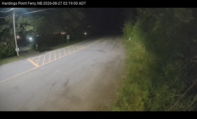 Web Cam image of Hardings Point
