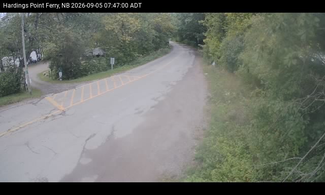 Web Cam image of Hardings Point