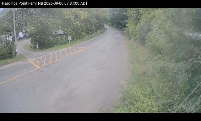 Web Cam image of Hardings Point
