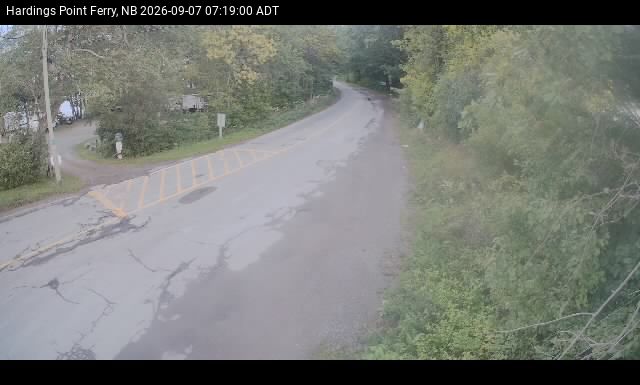 Web Cam image of Hardings Point