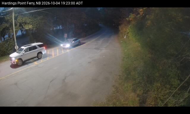 Web Cam image of Hardings Point