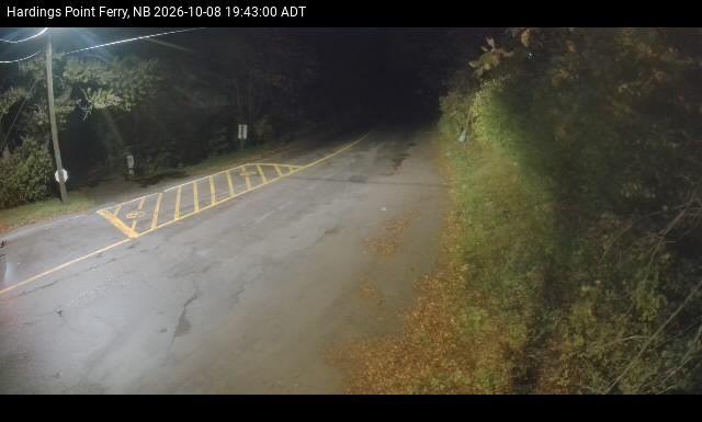 Web Cam image of Hardings Point