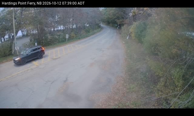 Web Cam image of Hardings Point
