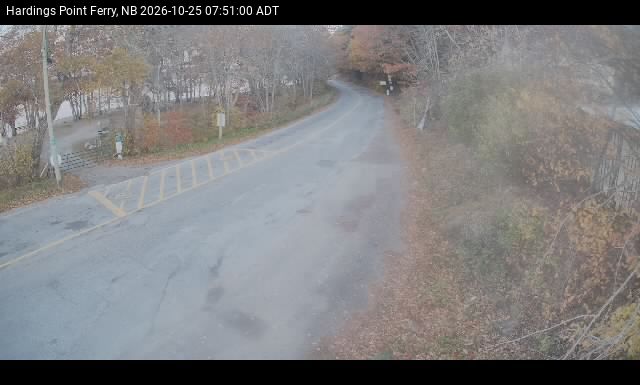 Web Cam image of Hardings Point