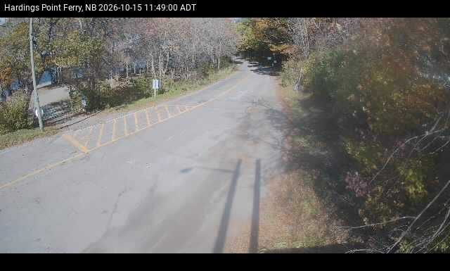 Web Cam image of Hardings Point
