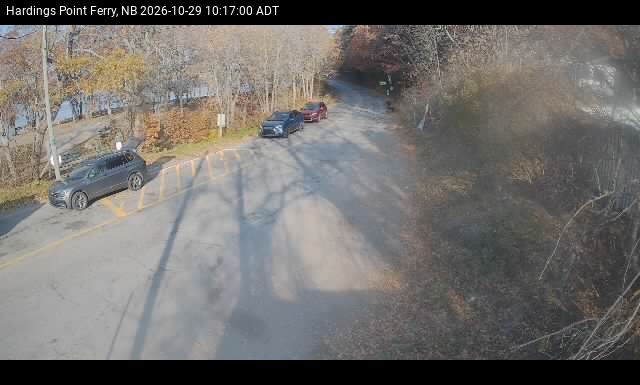 Web Cam image of Hardings Point