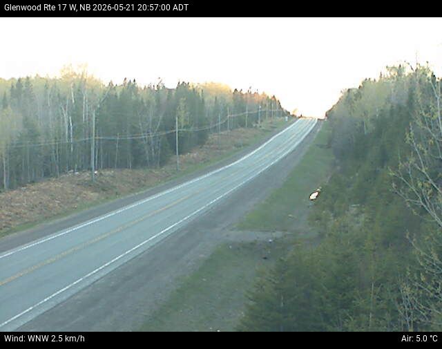 Web Cam image of Glenwood (NB Highway 17)