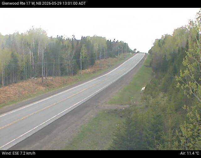 Web Cam image of Glenwood (NB Highway 17)
