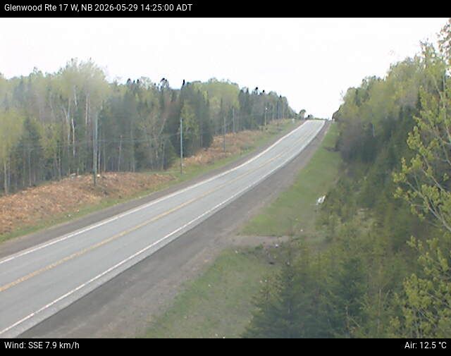 Web Cam image of Glenwood (NB Highway 17)