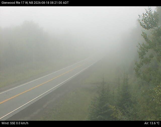 Web Cam image of Glenwood (NB Highway 17)