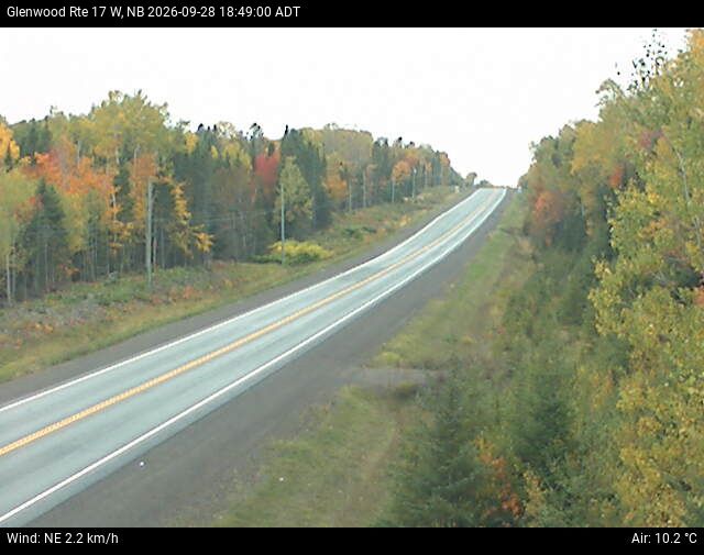 Web Cam image of Glenwood (NB Highway 17)