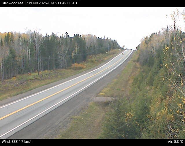 Web Cam image of Glenwood (NB Highway 17)