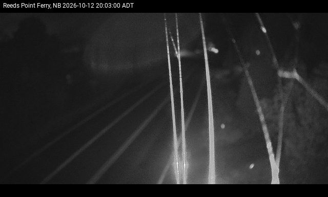 Web Cam image of Reeds Point