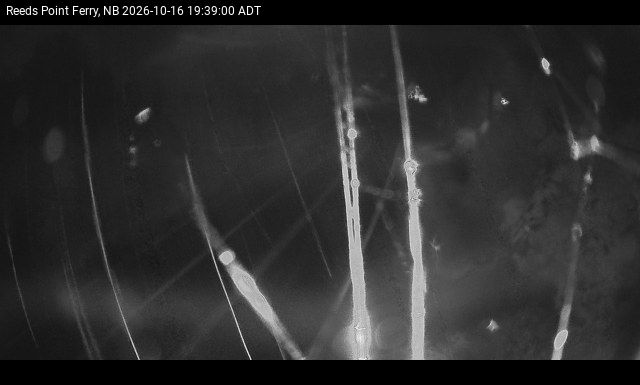 Web Cam image of Reeds Point