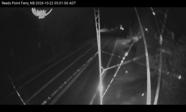 Web Cam image of Reeds Point