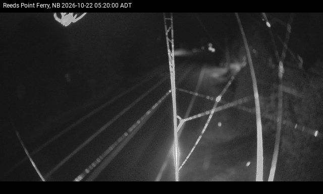 Web Cam image of Reeds Point