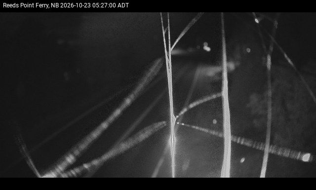 Web Cam image of Reeds Point